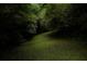 Lush green yard surrounded by mature trees at 1473 Wildwood Way, Hampton, GA 30228
