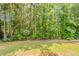 Grassy backyard is bordered by mature trees, offering privacy at 173 Parkview Place Dr, Mcdonough, GA 30253