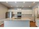 Modern kitchen featuring white cabinets, stainless steel appliances, and a granite island at 173 Parkview Place Dr, Mcdonough, GA 30253