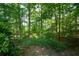 A lush, green backyard surrounded by trees, offering a private and tranquil outdoor space at 3423 Mulberry Lane Ct, Dacula, GA 30019