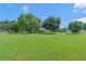 Expansive, well-maintained backyard with mature trees and ample space at 487 Laney Rd, Locust Grove, GA 30248
