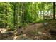 Wooded backyard featuring mature trees and natural foliage, offering a private outdoor space at 4672 Satellite Blvd, Duluth, GA 30096