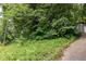 Home surrounded by lush trees, providing privacy and a natural setting with a long driveway to the garage at 4672 Satellite Blvd, Duluth, GA 30096