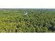 Expansive aerial view showcasing a home amidst a dense forest and serene lake at 205 Pine Lake Dr, Cumming, GA 30040