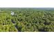 Panoramic aerial view of a home surrounded by a vast expanse of lush greenery and a serene lake at 205 Pine Lake Dr, Cumming, GA 30040