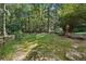 Expansive backyard featuring a lush lawn, mature trees, and a fence, offering ample space and privacy at 205 Pine Lake Dr, Cumming, GA 30040