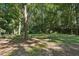 Lush backyard showcasing mature trees, offering shade and a serene atmosphere, perfect for outdoor enjoyment at 205 Pine Lake Dr, Cumming, GA 30040
