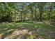 Sprawling backyard featuring a lush lawn, mature trees, and natural surroundings, providing tranquility at 205 Pine Lake Dr, Cumming, GA 30040