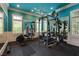 Spacious home gym with weight equipment, mirrors, and a ceiling fan for workouts at 170 Autry Trl, Johns Creek, GA 30022