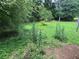 Lush backyard with established greenery and a partially shaded area at 8170 Canyon Forge Dr, Riverdale, GA 30274