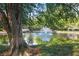Community pond featuring a fountain surrounded by lush trees and green grass at 3707 Vineyards Lake Nw Cir # 22, Kennesaw, GA 30144