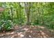 Landscaped backyard with lush foliage at 8587 Cumming Se Hwy, Canton, GA 30115