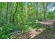 Wooded lot in a lush setting at 8587 Cumming Se Hwy, Canton, GA 30115