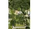Aerial view of property featuring mature trees, a home, and a swimming pool in a private backyard setting at 6380 Concord Rd, Cumming, GA 30028