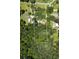 Aerial view of the property showcasing the home's location, boundaries, and surrounding greenery at 6380 Concord Rd, Cumming, GA 30028