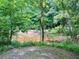 A tranquil creek surrounded by lush greenery, creating a serene natural setting at 7680 Banks Mill Road Rd, Douglasville, GA 30135