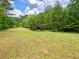 Expansive land featuring a lush green lawn bordered by mature trees offering privacy and natural beauty at 7680 Banks Mill Road Rd, Douglasville, GA 30135