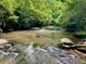 Serene stream with clear water flowing over rocks, surrounded by lush greenery and natural beauty at 7680 Banks Mill Road Rd, Douglasville, GA 30135