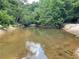 Clear, shallow creek water with sandy banks surrounded by lush greenery, offering a serene waterfront view at 7680 Banks Mill Road Rd, Douglasville, GA 30135