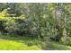 Lush backyard with mature trees, offering privacy and natural beauty at 80 Jacob Trl, Rockmart, GA 30153