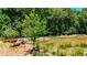 Scenic pond with art and landscaping, surrounded by mature trees and lush greenery at 352 Olmstead Way # 28, Alpharetta, GA 30022