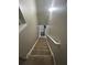 A straight staircase featuring beige carpets at 127 Spring Way Sq, Canton, GA 30114