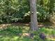 Landscaped backyard featuring mature trees, small plants, and a birdhouse at 2832 Jordan Forest Trail Northwest, Lawrenceville, GA 30044