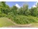 Lush backyard view showcasing the natural beauty and privacy of the property's surroundings at 521 Andes Ln, Canton, GA 30114