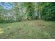 A lush green backyard offering a serene and private outdoor space surrounded by mature trees at 1658 Pine Glen Cir, Decatur, GA 30035