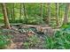 Backyard stream featuring a small rock pond and surrounding trees at 3122 Harmony Rd, Temple, GA 30179