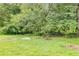 The backyard is lush green with an open space amidst the dense trees at 220 Gamble Dr, Carrollton, GA 30116