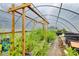 The greenhouse interior displays flourishing greenery, planter boxes, tables, and wooden frameworks lit with natural light at 220 Gamble Dr, Carrollton, GA 30116