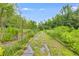 Land featuring a overgrown path surrounded by lush green vegetation under a bright, sunny sky at 220 Gamble Dr, Carrollton, GA 30116