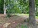 View of the property's large, wooded backyard at 312 N Briar Rdg, Woodstock, GA 30189