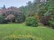 Manicured backyard with mature trees creating a private, serene setting at 200 Chaparral Trce, Tyrone, GA 30290