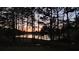 Beautiful lake view surrounded by tall trees as seen through branches at 200 Chaparral Trce, Tyrone, GA 30290