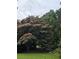 Scenic yard featuring a flowering tree and lush greenery at 200 Chaparral Trce, Tyrone, GA 30290
