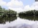 Scenic pond surrounded by lush greenery and trees with cloudy skies in the background at 22 Dunwoody Springs Dr, Atlanta, GA 30328
