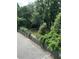 Community dog park surrounded by trees and fencing, offering a safe and enjoyable space for pets at 2479 Peachtree Ne Rd # 317, Atlanta, GA 30305