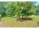 Lush backyard featuring beautiful mature trees, verdant grass, and ample space for recreation at 1002 Hallman Sw Ter, Marietta, GA 30064