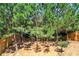 Backyard featuring lush trees, a partially fenced perimeter, and sloping terrain at 2859 Woodward Down Trl, Buford, GA 30519