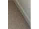 Close up view of the carpet at 117 Compass Rd, Hampton, GA 30228