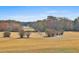 Expansive golf course view with winding paths and lush landscaping at 140 Silvermere, Fayetteville, GA 30215