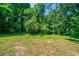 Expansive backyard with lush greenery and mature trees, offering privacy and natural beauty at 3904 W Hilda Cir, Decatur, GA 30035