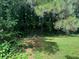 View of the backyard featuring dense trees and a partial chain-link fence at 8564 Jamestown Way, Jonesboro, GA 30238
