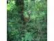 Secluded wooded yard with deer and mature trees at 2368 Glynn Se Dr, Atlanta, GA 30316