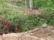 Landscaped backyard with mulch and colorful azalea bushes at 2368 Glynn Se Dr, Atlanta, GA 30316