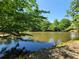 Scenic view of a calm pond surrounded by lush greenery, offering a tranquil and picturesque setting at 672 Red Sunset Cir, Powder Springs, GA 30127