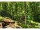 Lush backyard with dense trees, vegetation, and a stairway terraced into the natural landscape at 410 Waterridge Ct, Sandy Springs, GA 30350
