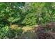 Lush backyard with a serene stone path and mature trees, providing privacy and tranquility at 1270 Taylor Oaks Dr, Roswell, GA 30076